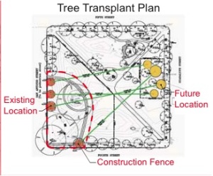 Here's a view of the fence location and the tree transplanting information.