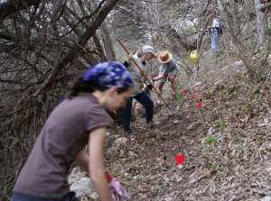New trail at Great Hills Park takes shape
