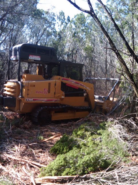 Forestry Mower in Action